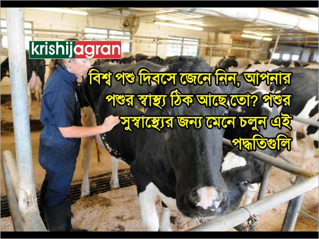 পশ প লন উন নত আয র ম ধ যম