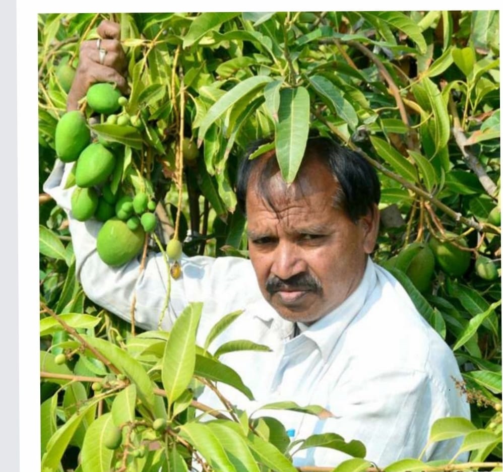 Mango farmer