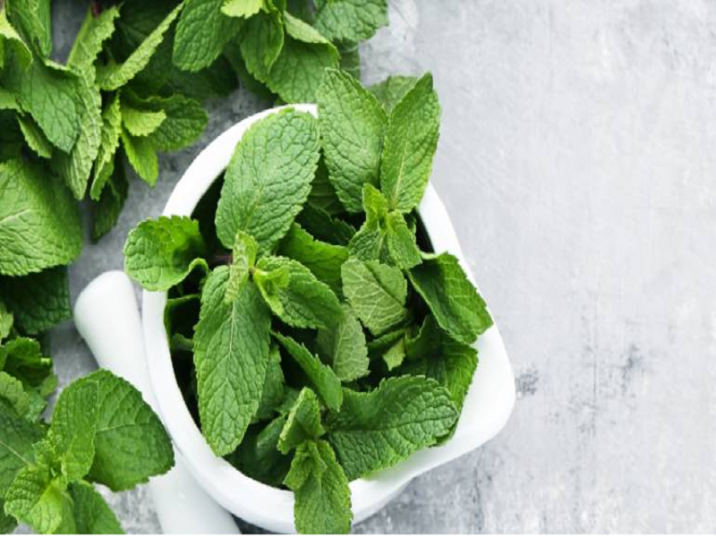 Mint leaves (Image Credit - Google) Mint leaves (Image Credit - Google)