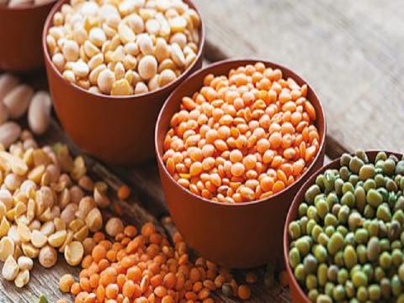 Pulse crop