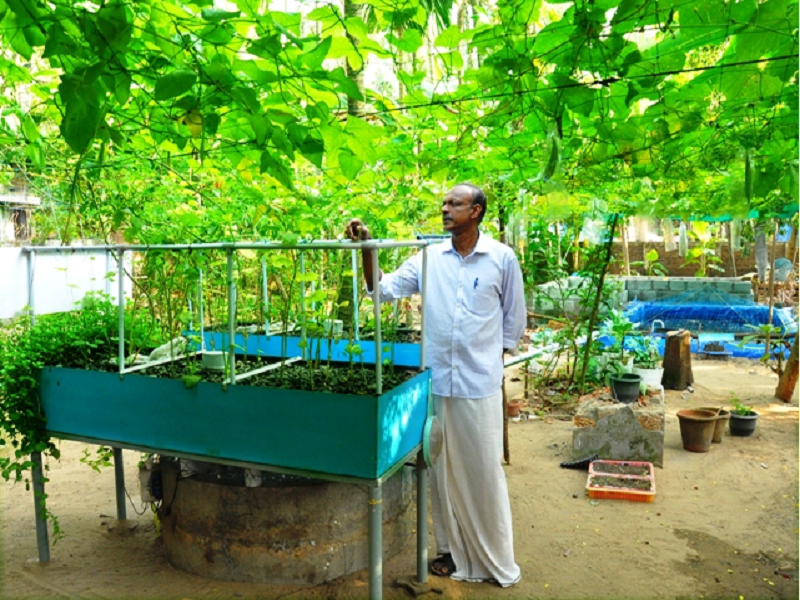 Aquaponic system in village