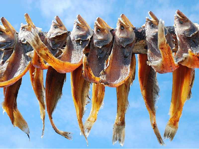 Fish preservation