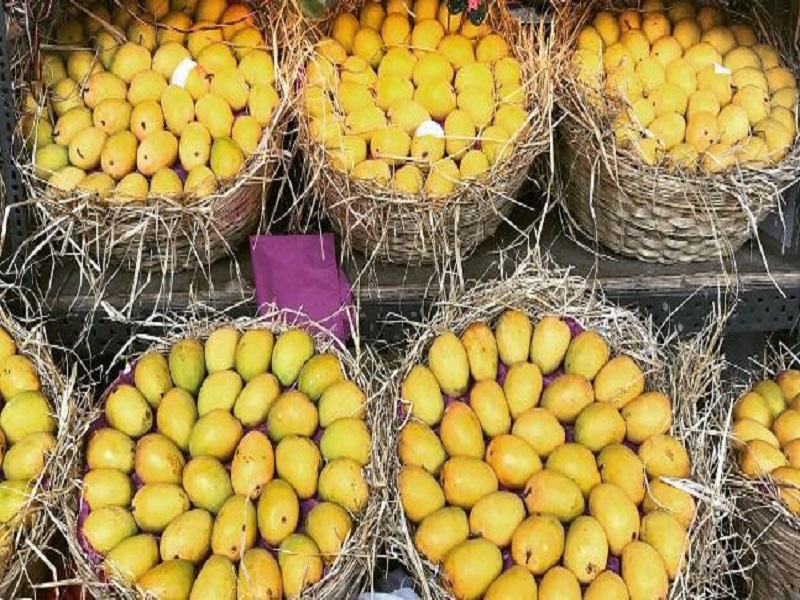 Mango exportation