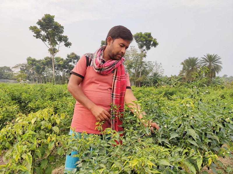 Successful Farmer