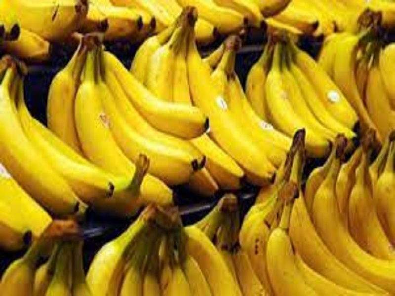 GI Certified Jalgaon Bananas