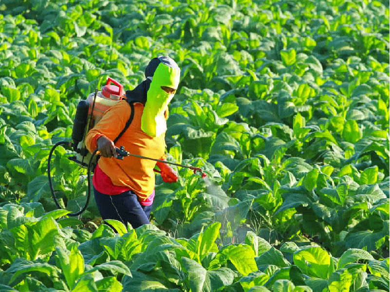 Organic Farming