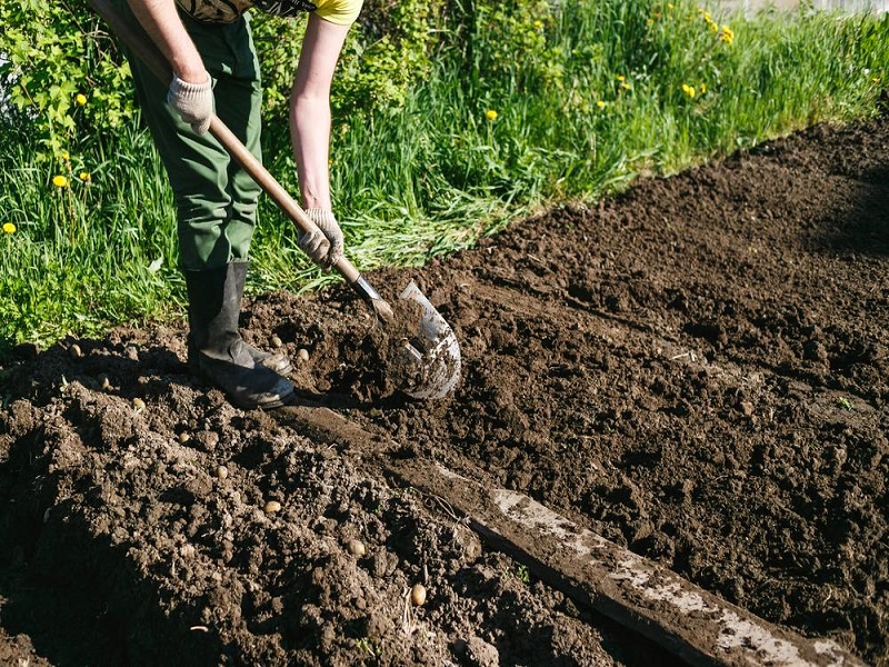 Organic Farming