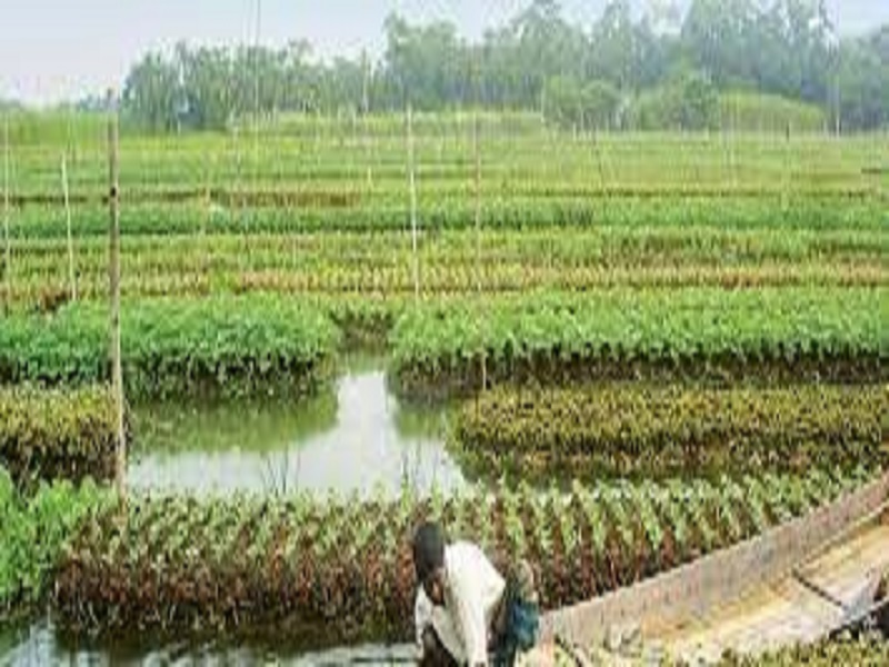 Farming