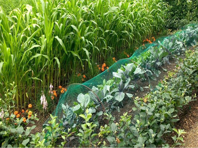 Profitable Farming