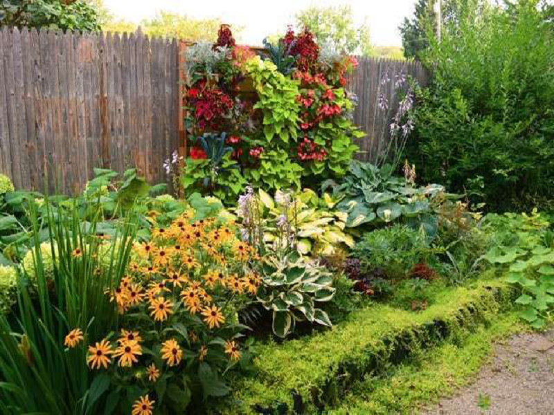 vertical Gardening