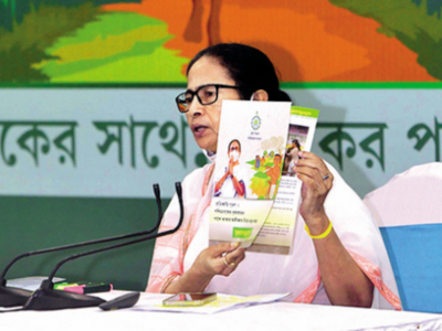 WB CM Mamata Banerjee (Image Credit - Google)
