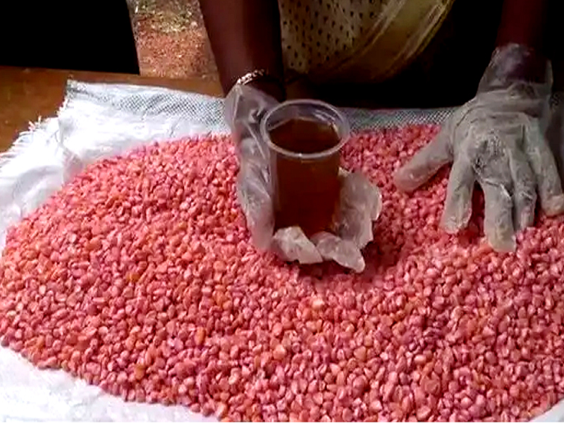 Seed Purification