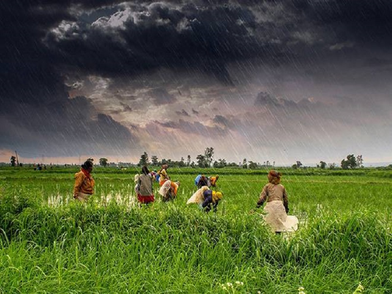 Monsoon Crop