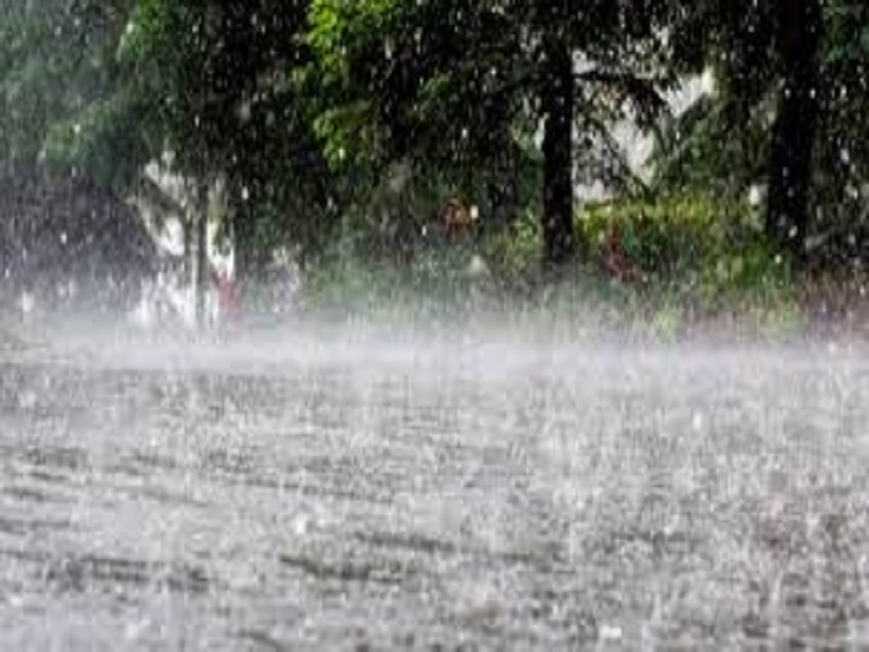 WB weather update