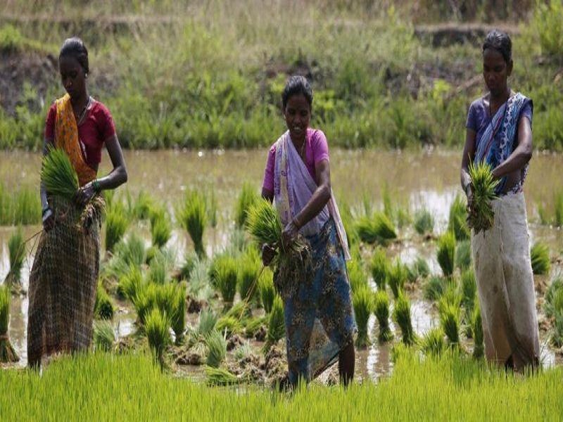 Bangladesh Agricultural loan