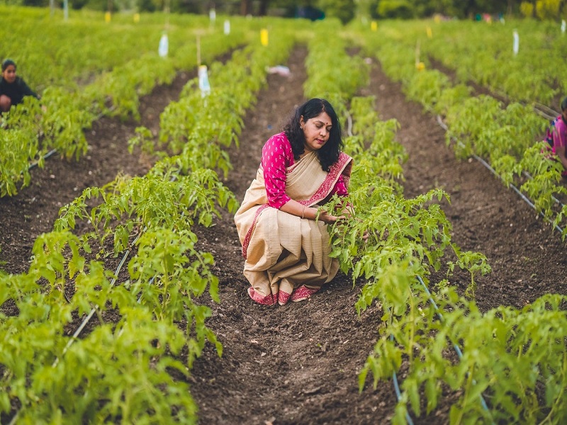 organic farming