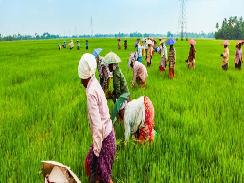 Farm sector records news business