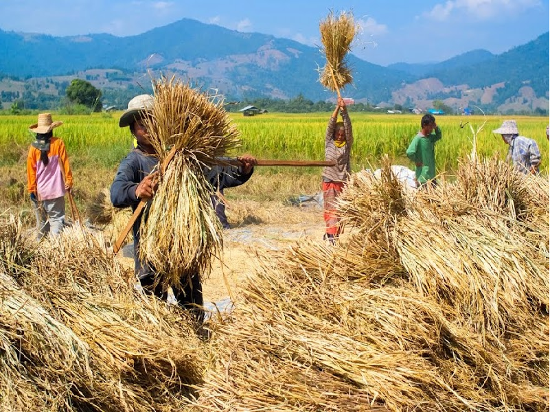 PMKMY - Govt scheme