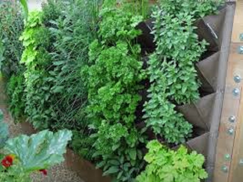 Vertical gardening