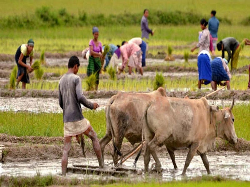 Bangla Sashya Bima Yojana 2021