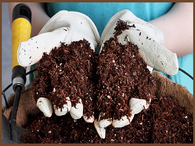 Importance of Coco peat
