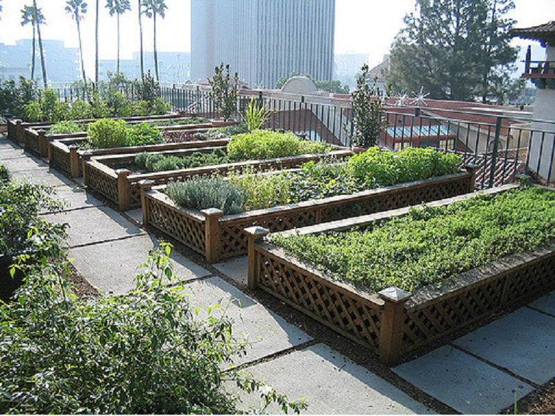 Terrace farming procedure