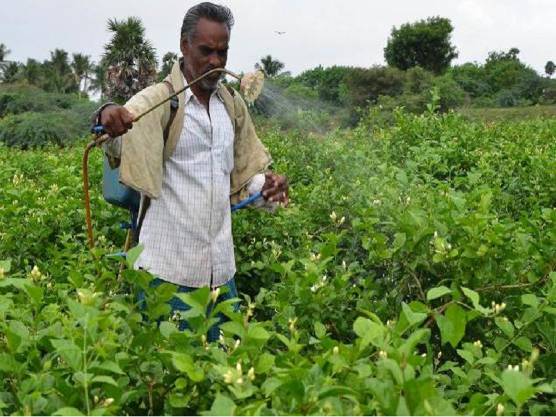 Integrated Pest Management