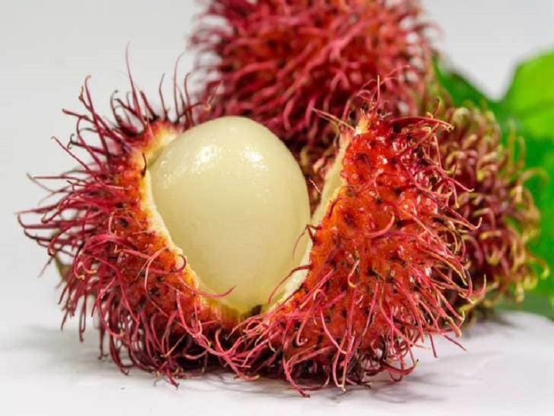Rambutan fruit farming