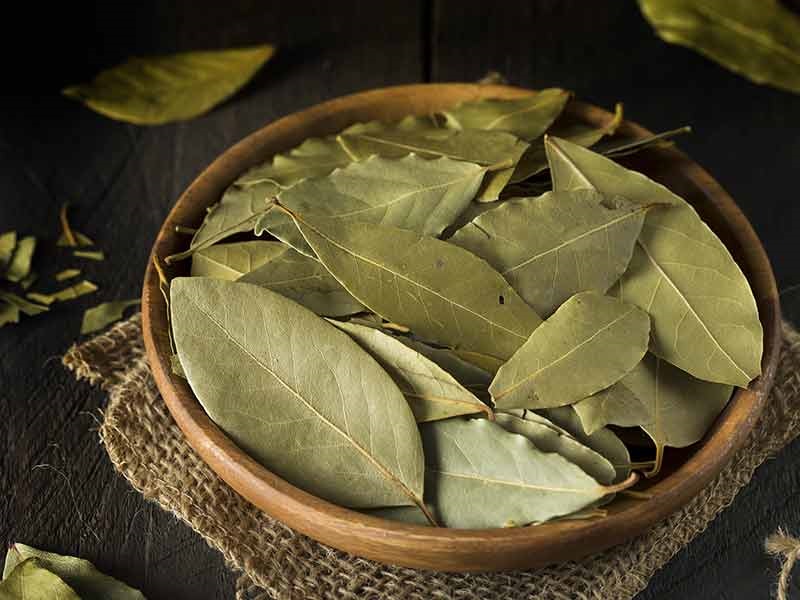 Health benefits of bay leaves