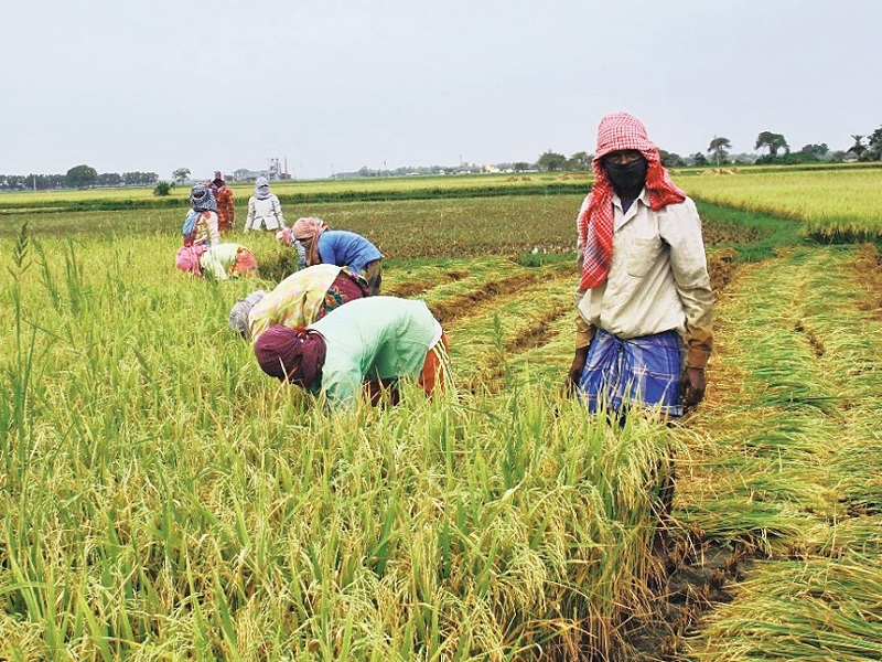 Krishak Bandhu Scheme 2021