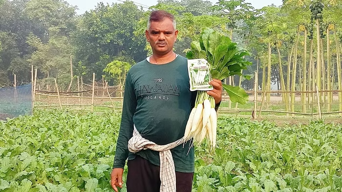 এই জাতের মুলা মনোজ কুমারের জন্য আশীর্বাদ হয়ে উঠেছে, এক একরে দ্বিগুণ ফলন থেকে লাখ লাখ টাকা আয় করছেন তিনি!