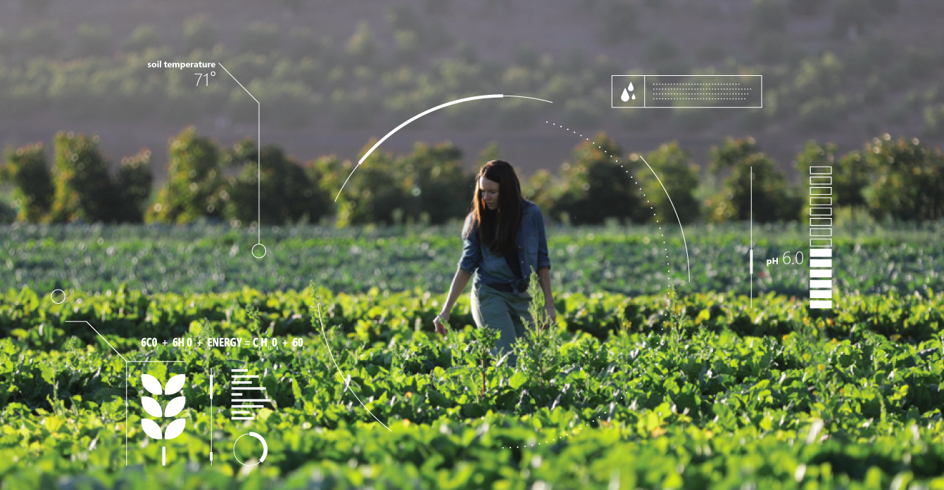 AI in agriculture