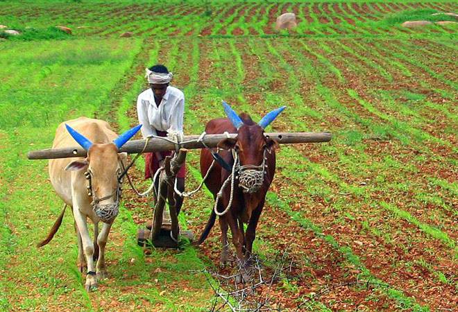 agri export