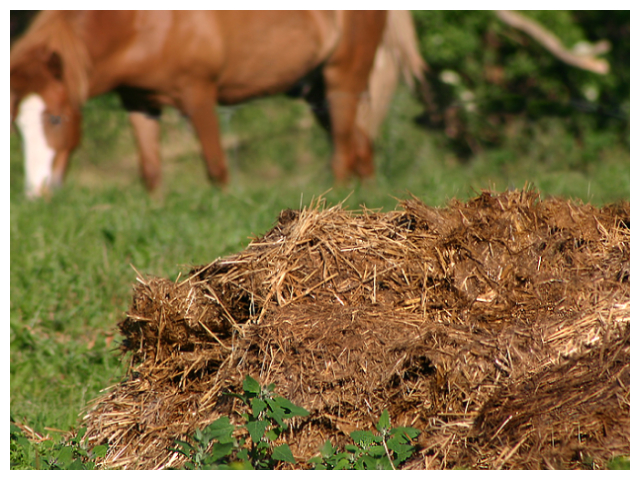 Manure picture