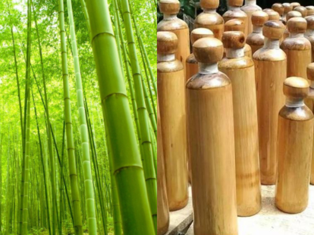 Bamboo Bottle Business