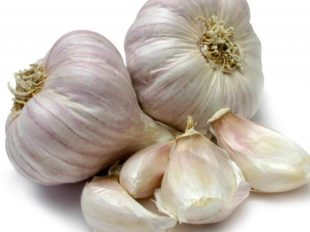 Garlic Grading Business
