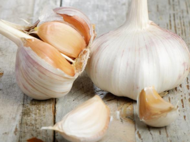 Garlic Packing Business