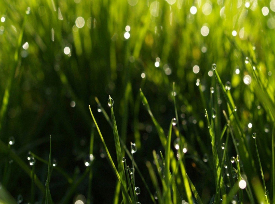 Monsoon Rainfall