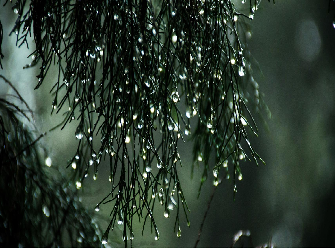 Low Pressure- Heavy Rainfall