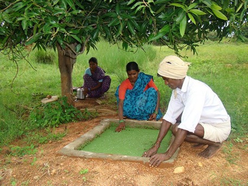 ajolla