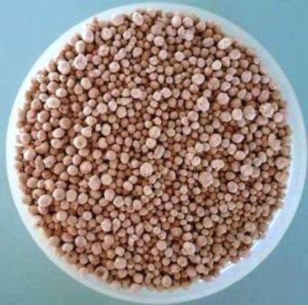 seed