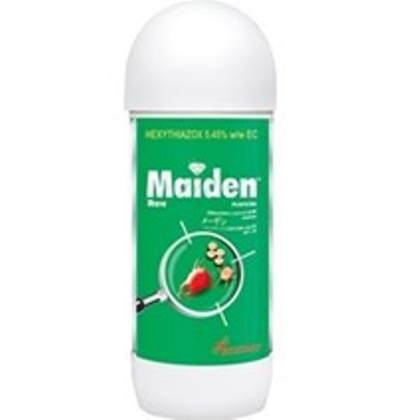 maiden
