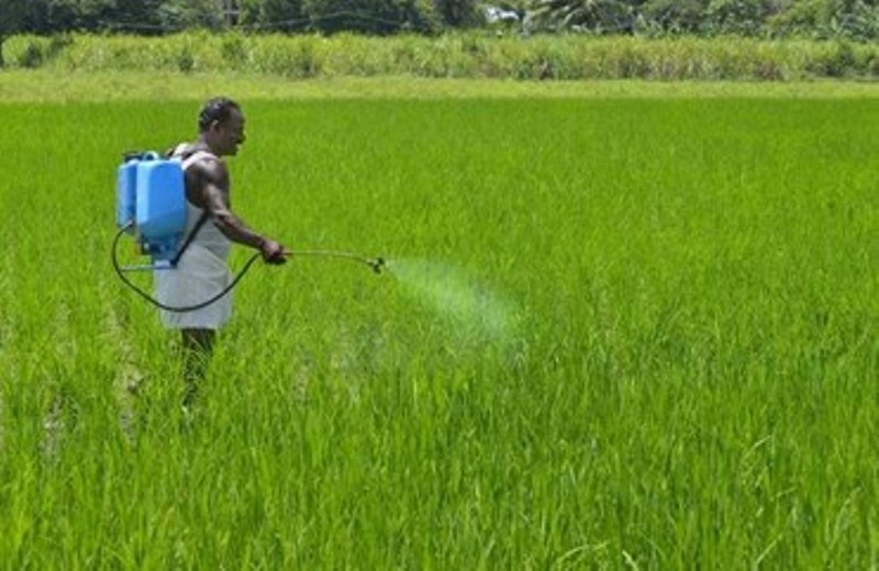 farmer