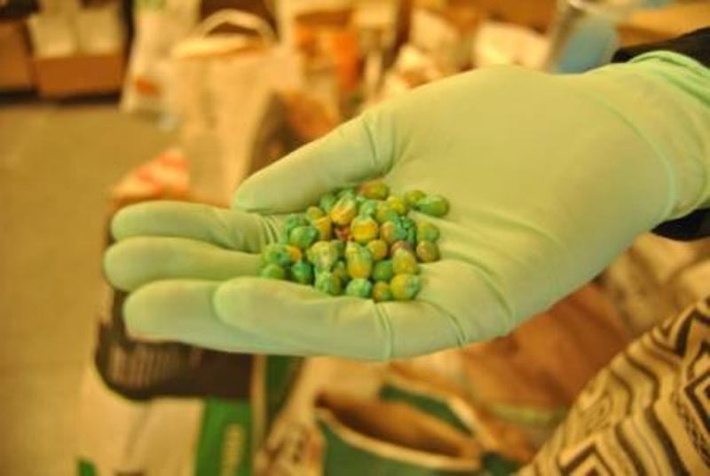 Gmo