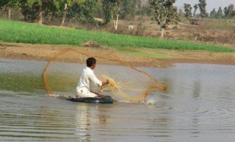 Fisher
