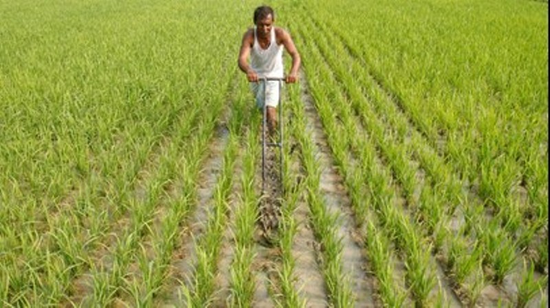 Farmer