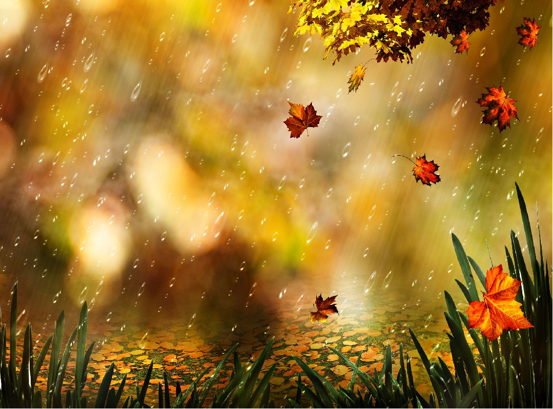 Rainfall due to low pressure