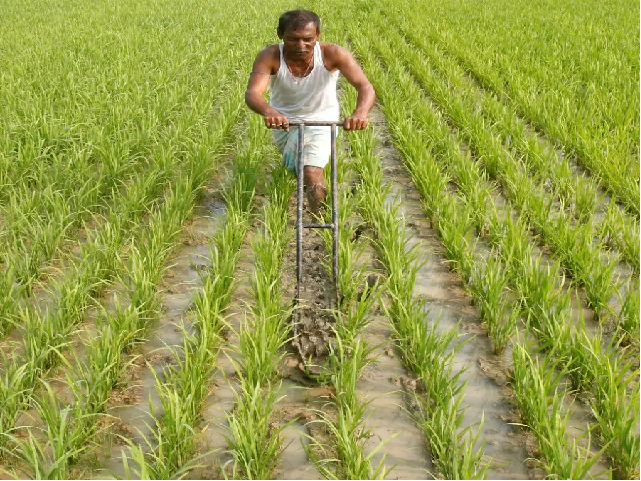 Farm land