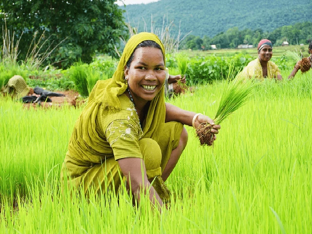Prime Minister's-Kisan Yojana