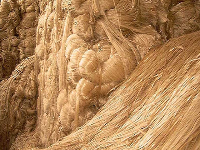 Jute fiber